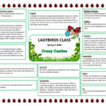 Ladybirds: Crazy Castles